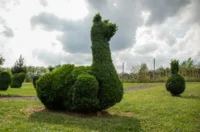 sracinec hercegbosna 13 sracinec hercegbosna 13