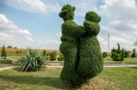 sracinec hercegbosna 14 sracinec hercegbosna 14