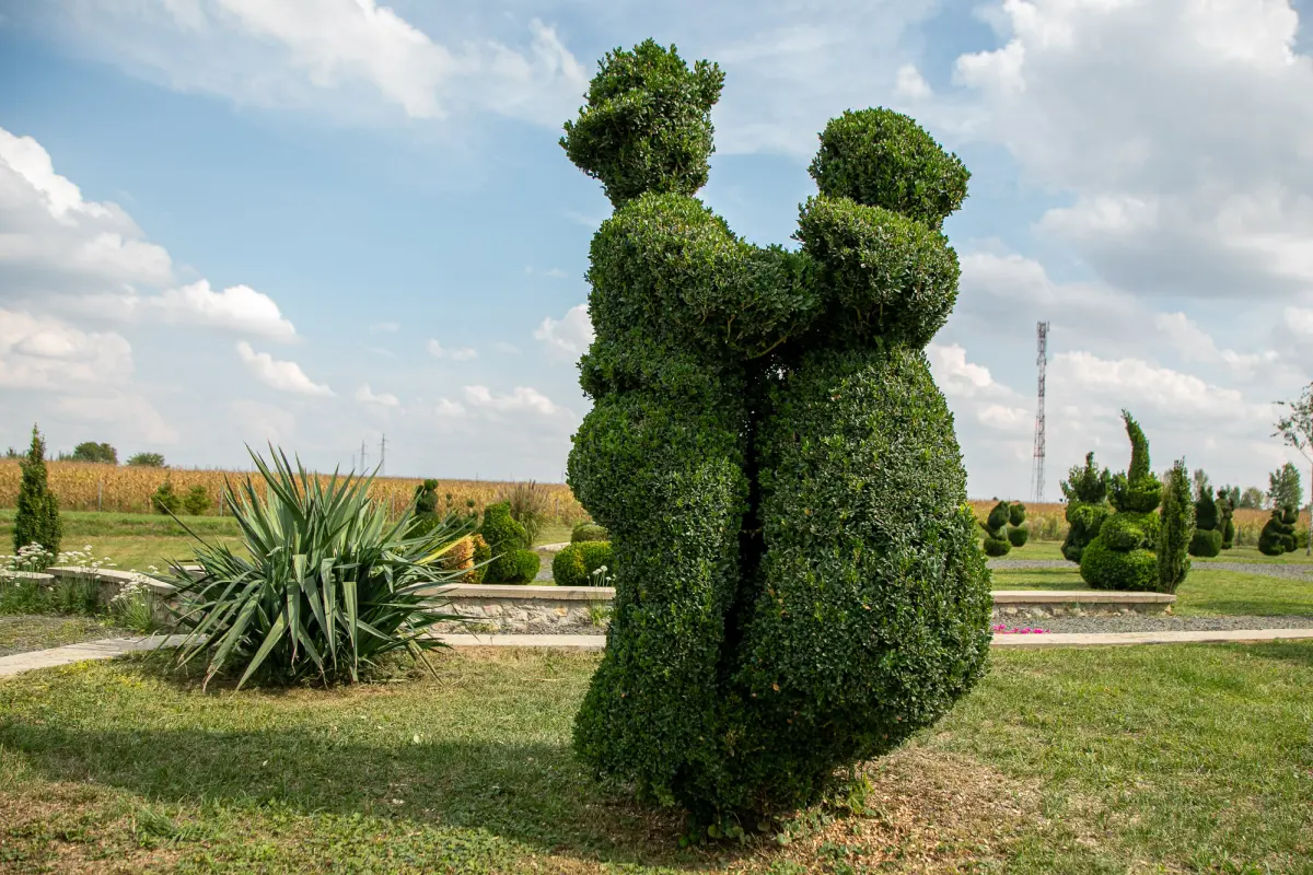 sracinec hercegbosna 14 sracinec hercegbosna 14