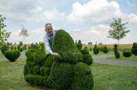 sracinec hercegbosna 17 sracinec hercegbosna 17