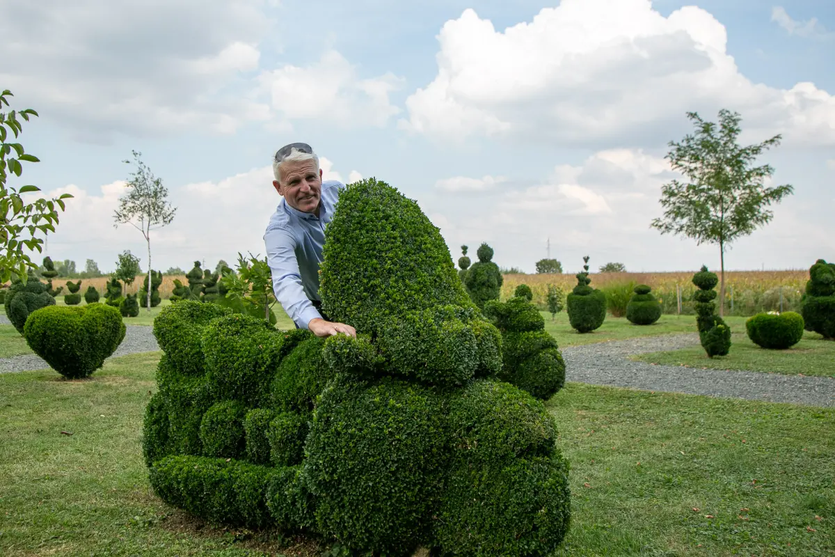 sracinec hercegbosna 17 sracinec hercegbosna 17