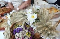 starinski zmaki (2) starinski zmaki (2)