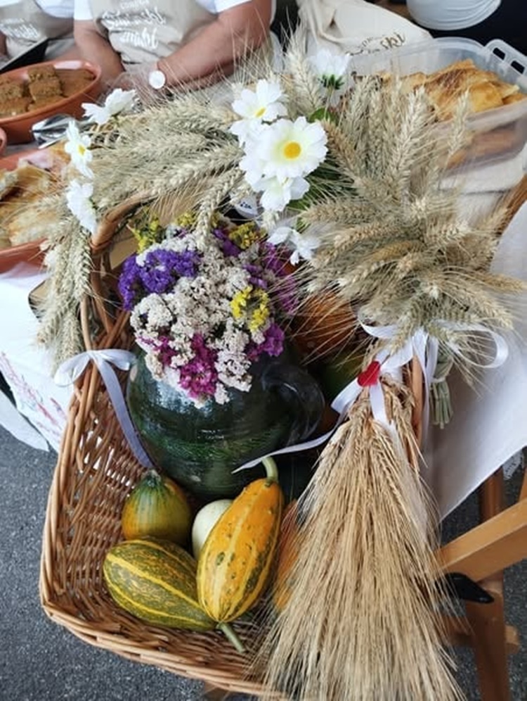 starinski zmaki (2) starinski zmaki (2)