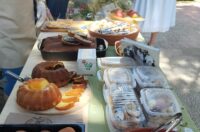 starinski zmaki (3) starinski zmaki (3)