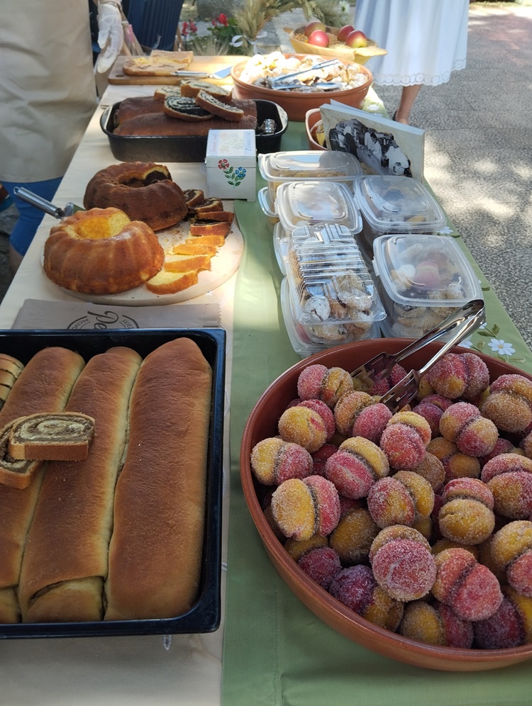 starinski zmaki (3) starinski zmaki (3)