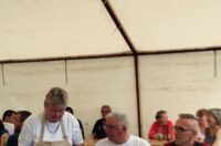 starinski zmaki (5) starinski zmaki (5)