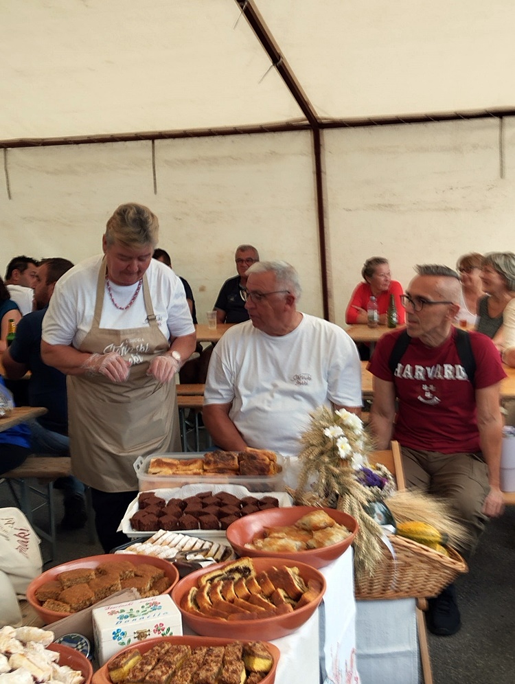 starinski zmaki (5) starinski zmaki (5)