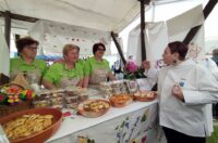 starinski zmaki (8) starinski zmaki (8)