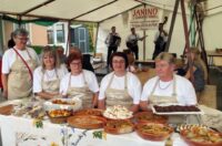 starinski zmaki (9) starinski zmaki (9)