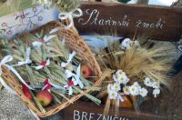 starinski zmaki (9) starinski zmaki (9)