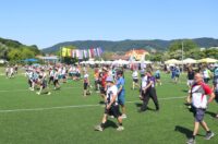 strelicari (15)