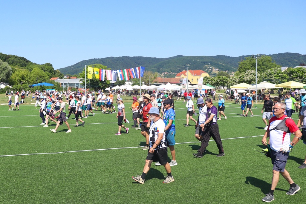 strelicari (15)