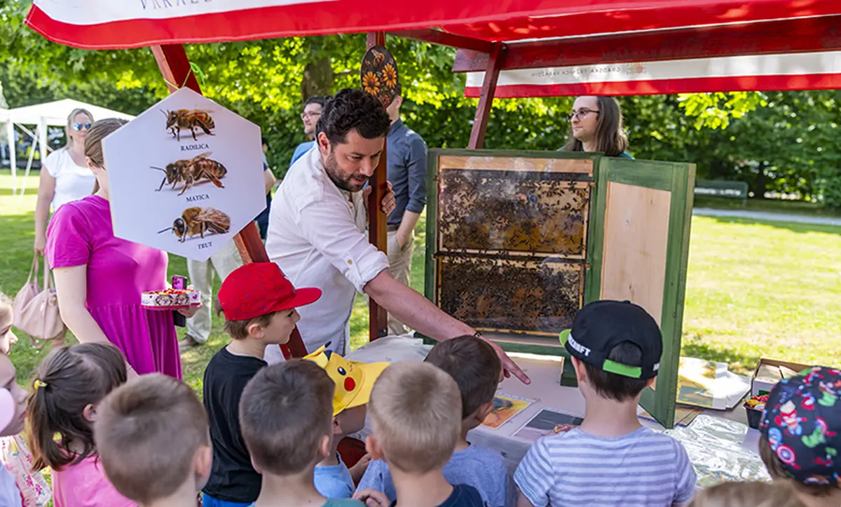svjetski dan zastite okolisa – foto branko nadj 01 svjetski dan zastite okolisa – foto branko nadj 01