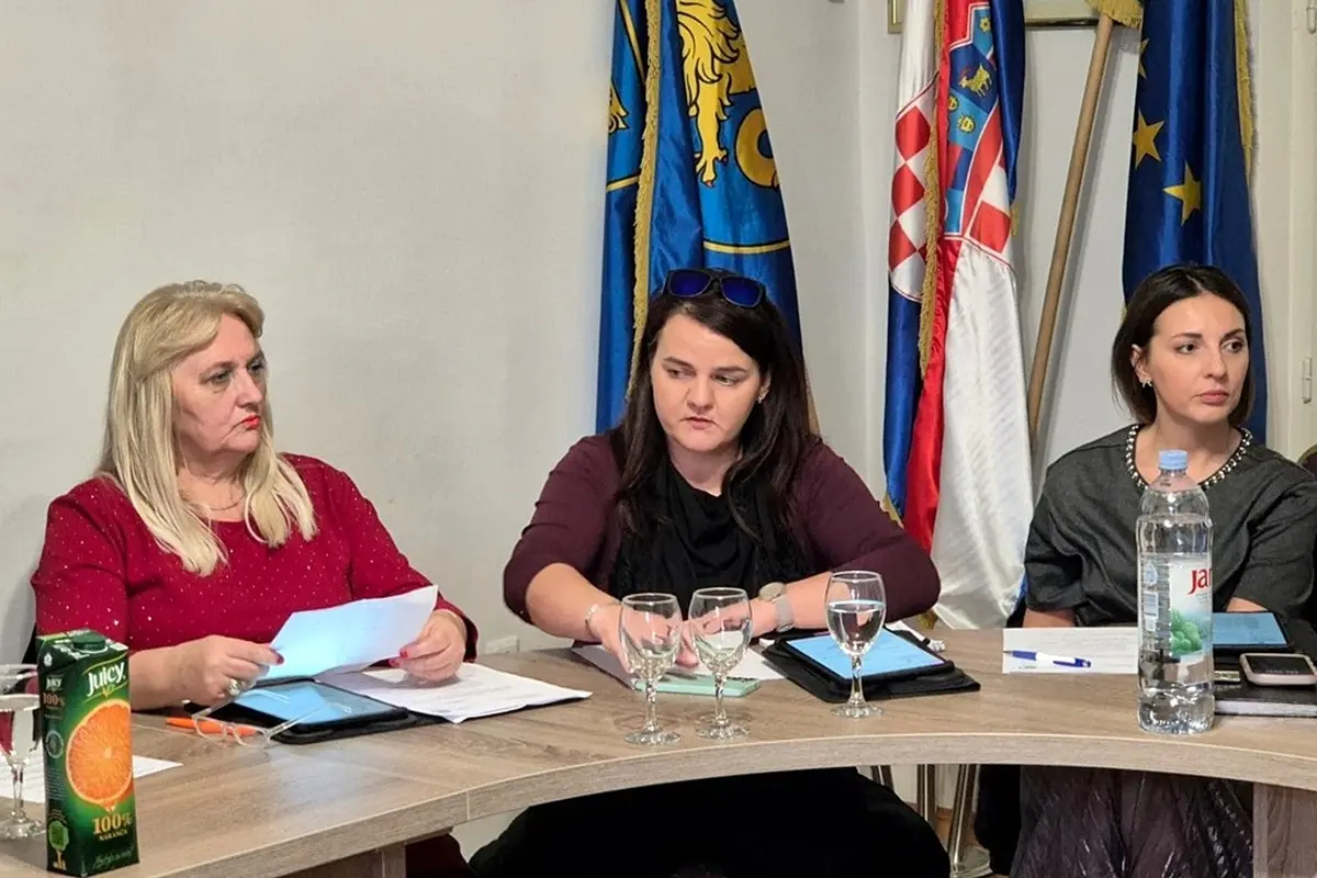 toplice-gradsko vijece-gvt (4) toplice-gradsko vijece-gvt (4)