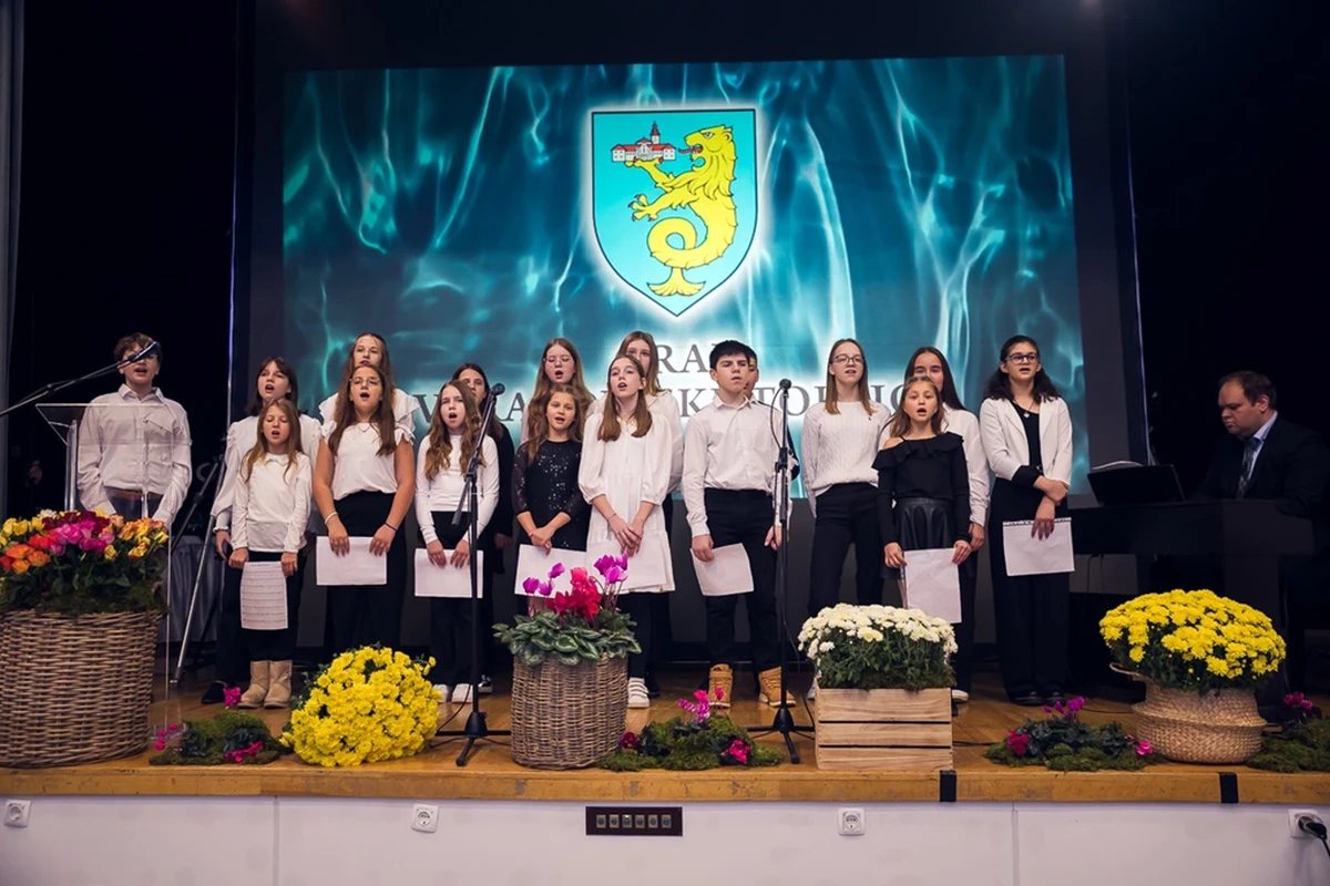 toplice svecana sjednica – foto grad vz toplice 38