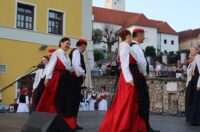 toplicka folklorijada (14) toplicka folklorijada (14)