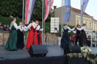 toplicka folklorijada (15) toplicka folklorijada (15)