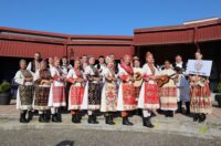 toplicka folklorijada (2) toplicka folklorijada (2)