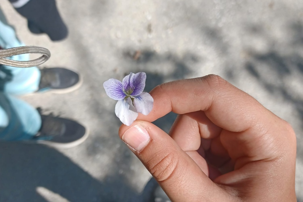 toplička planinarska šetnica (7)