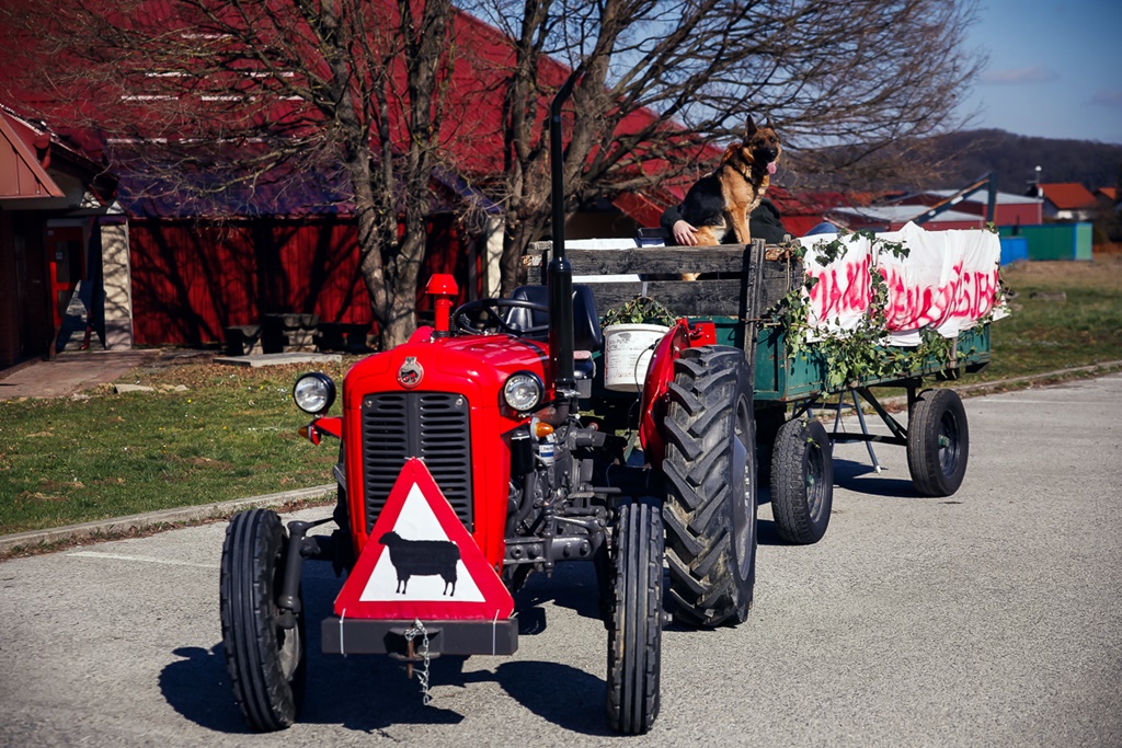 toplicki fasnjak (11)