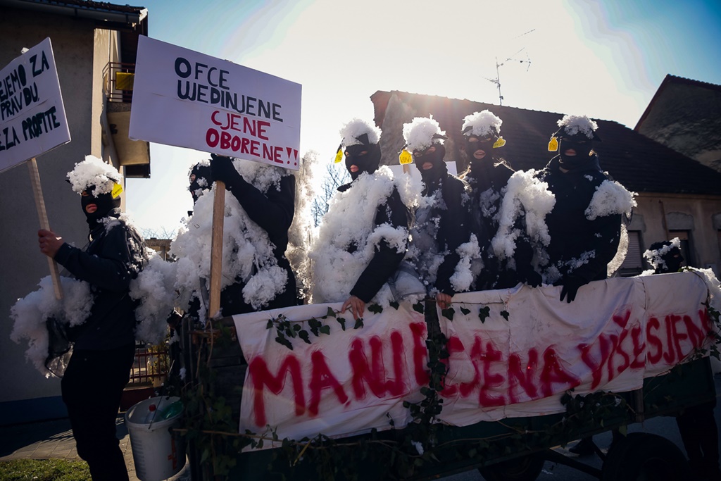 toplicki fasnjak (19)