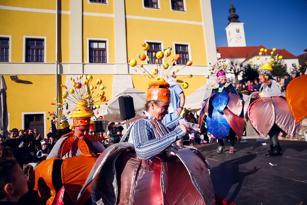 toplicki fasnjak (3)