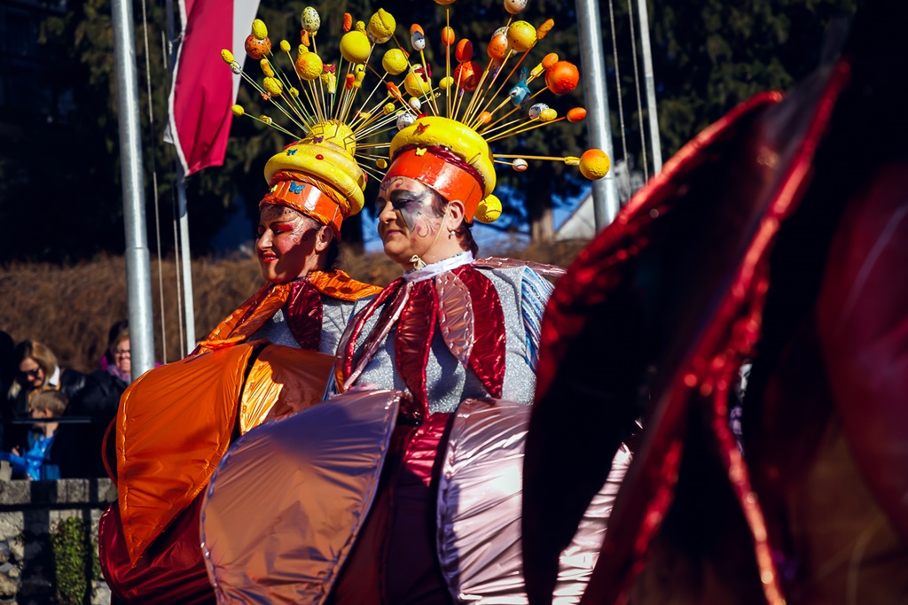 toplicki fasnjak (5)