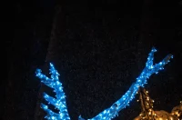 trakoscan-11 trakoscan-11