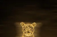 trakoscan-12 trakoscan-12