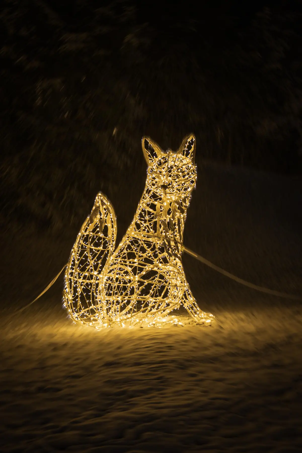 trakoscan-14 trakoscan-14