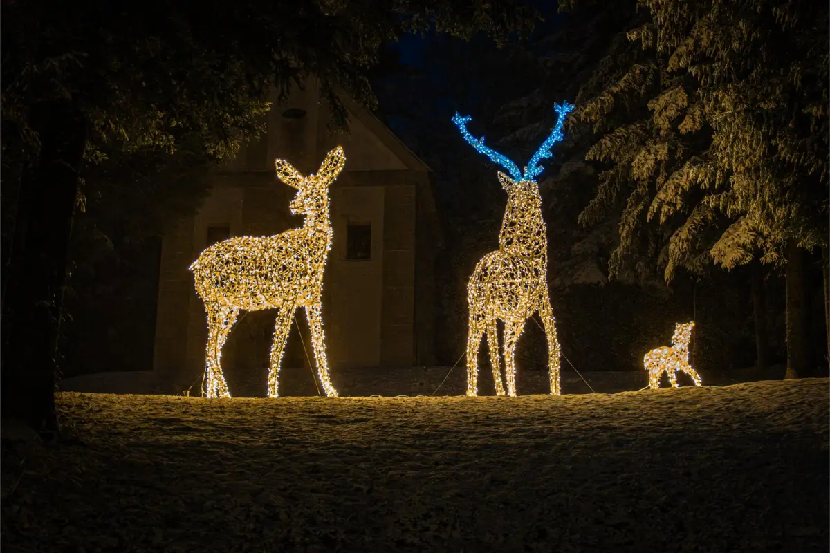 trakoscan-15 trakoscan-15