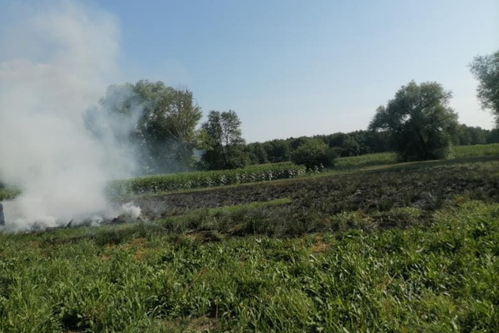 trnovec (1) trnovec (1)