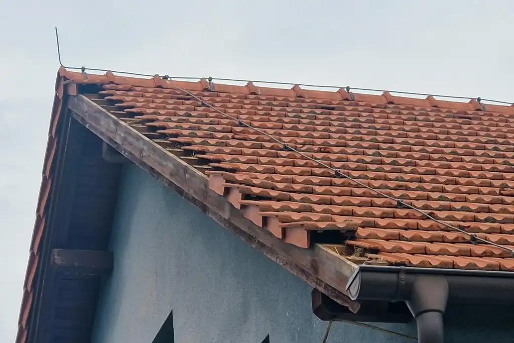 trnovec-steta-os trnovec-nk trnje (10)