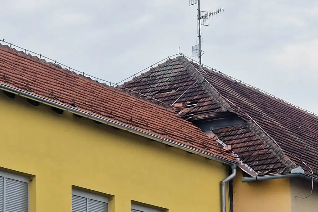 trnovec-steta-os trnovec-nk trnje (5)