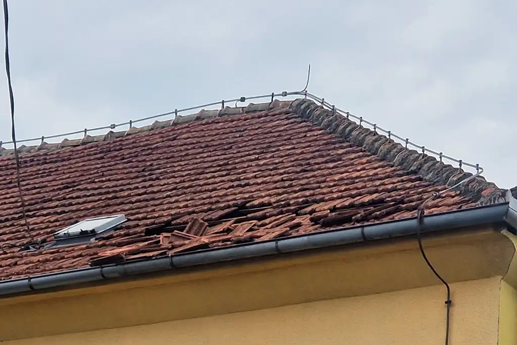 trnovec-steta-os trnovec-nk trnje (7)