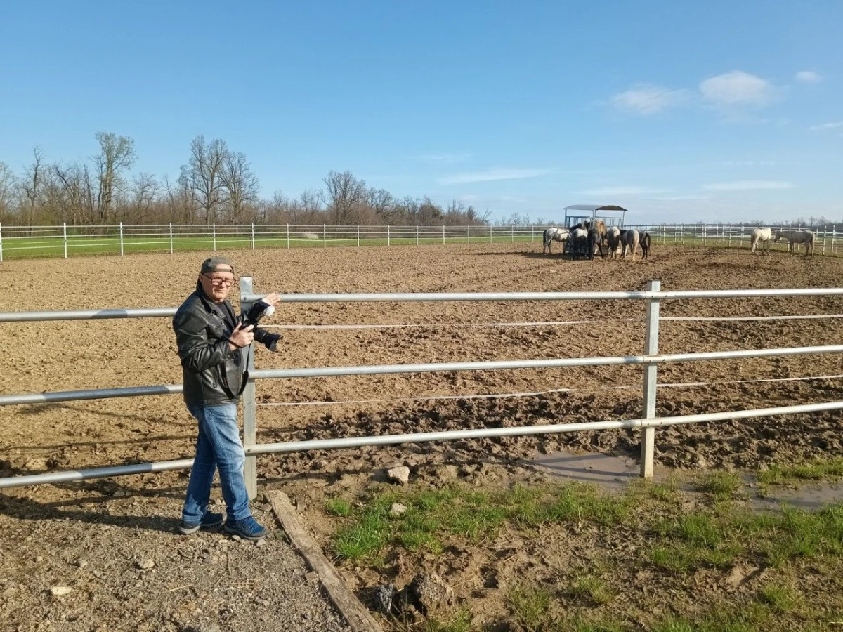 udvdr ivanec – 01 – Lipik Ergela – 01a udvdr ivanec – 01 – Lipik Ergela – 01a