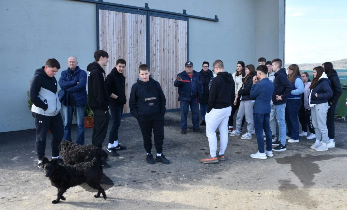 udvdr ivanec – 01 – Lipik ergela – 02 udvdr ivanec – 01 – Lipik ergela – 02