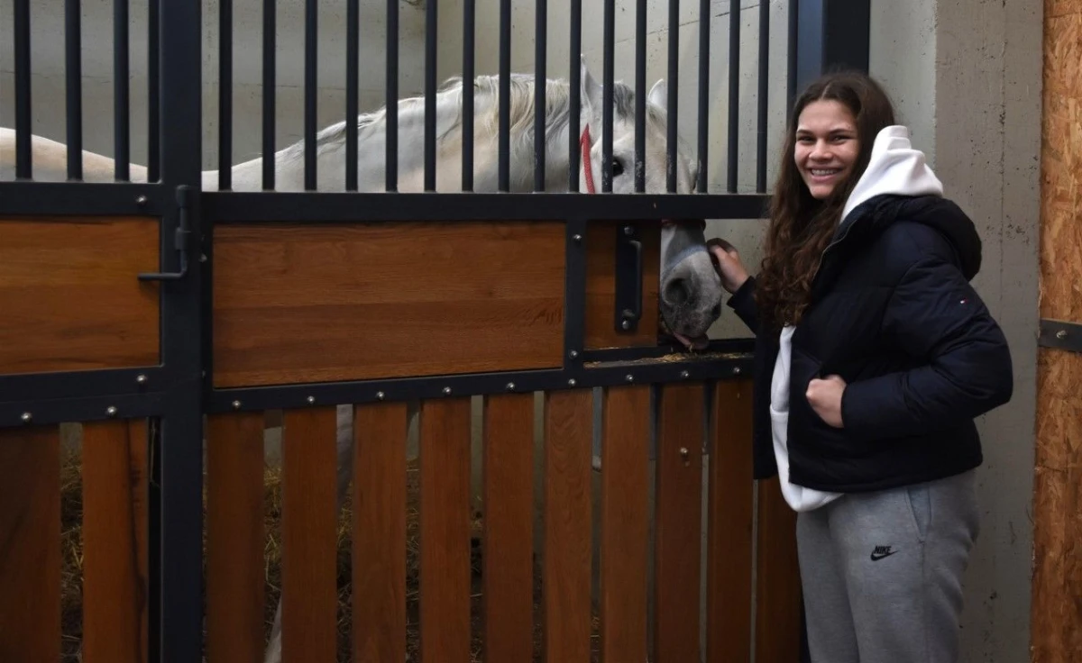 udvdr ivanec – 01 – Lipik ergela – 03 udvdr ivanec – 01 – Lipik ergela – 03