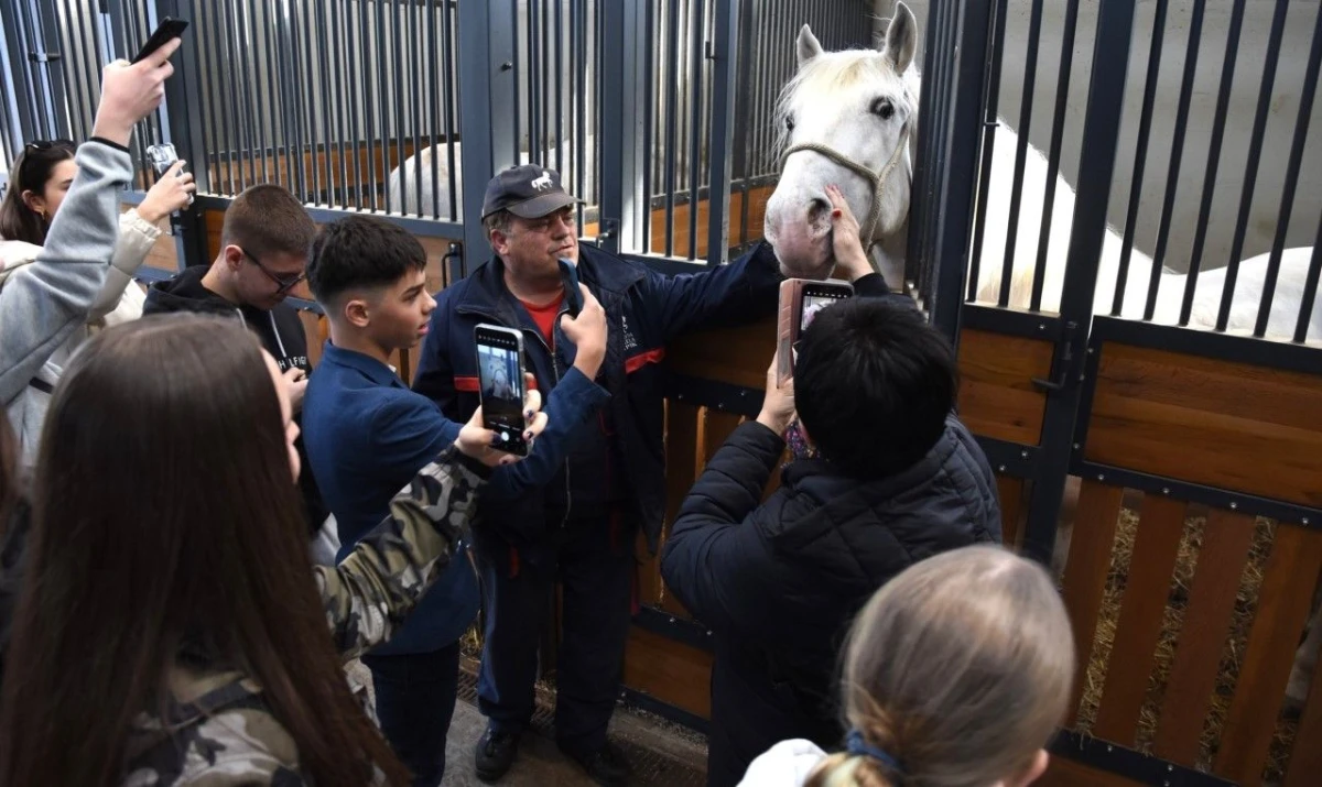 udvdr ivanec – 01 – Lipik ergela – 04 udvdr ivanec – 01 – Lipik ergela – 04