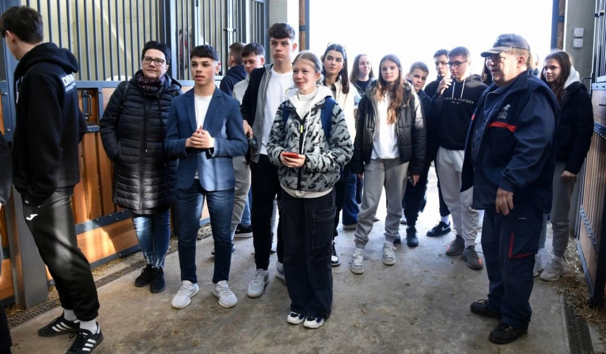 udvdr ivanec – 01 – Lipik ergela – 05 udvdr ivanec – 01 – Lipik ergela – 05