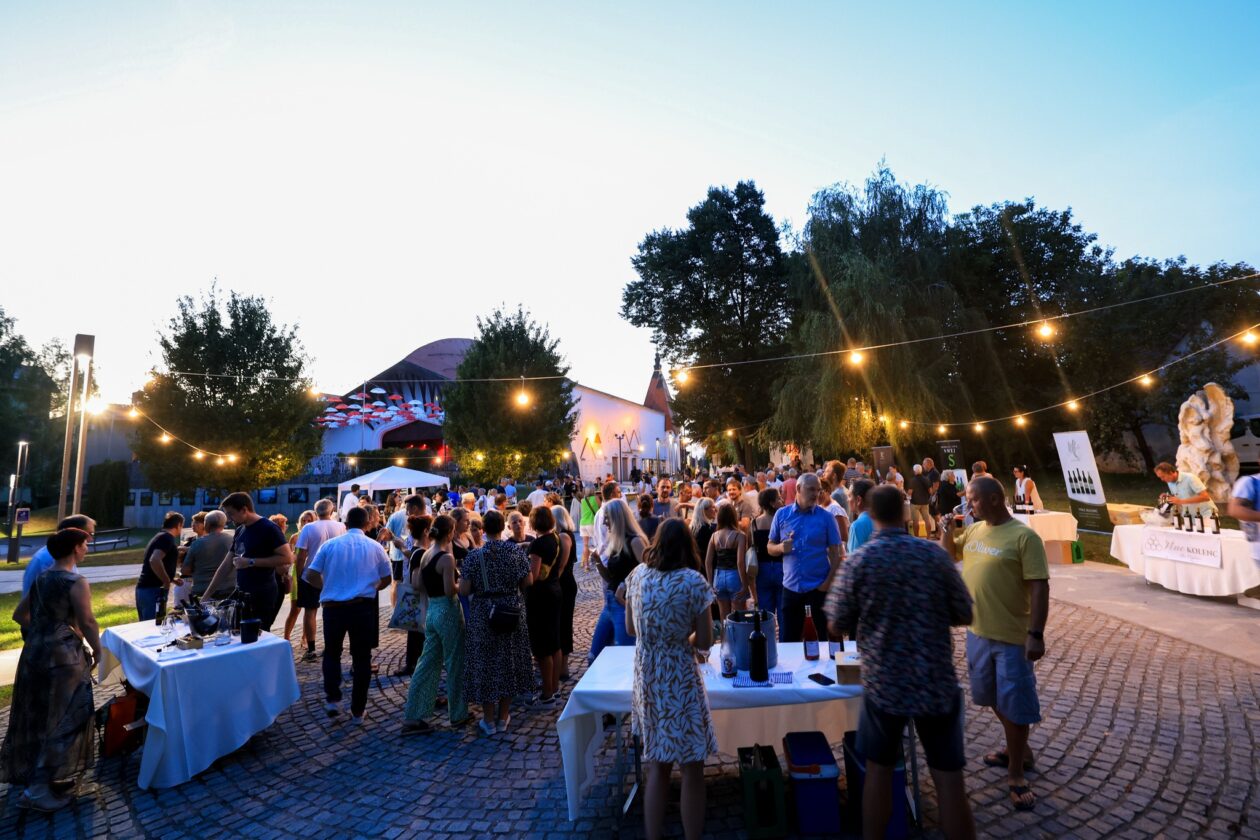 večerlendavskihvin_mediaspeed