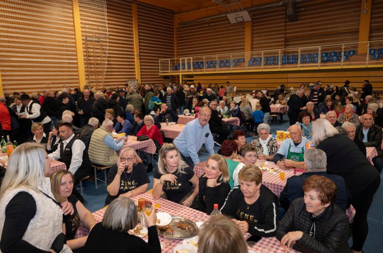 veseli_kneginec-7 veseli_kneginec-7