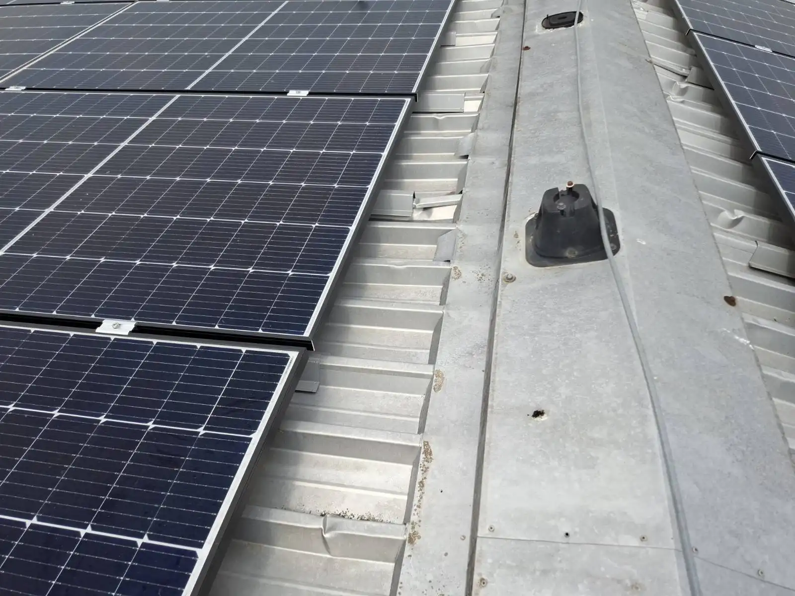 viber_slika_2024-08-27_07-51-44-167 viber_slika_2024-08-27_07-51-44-167