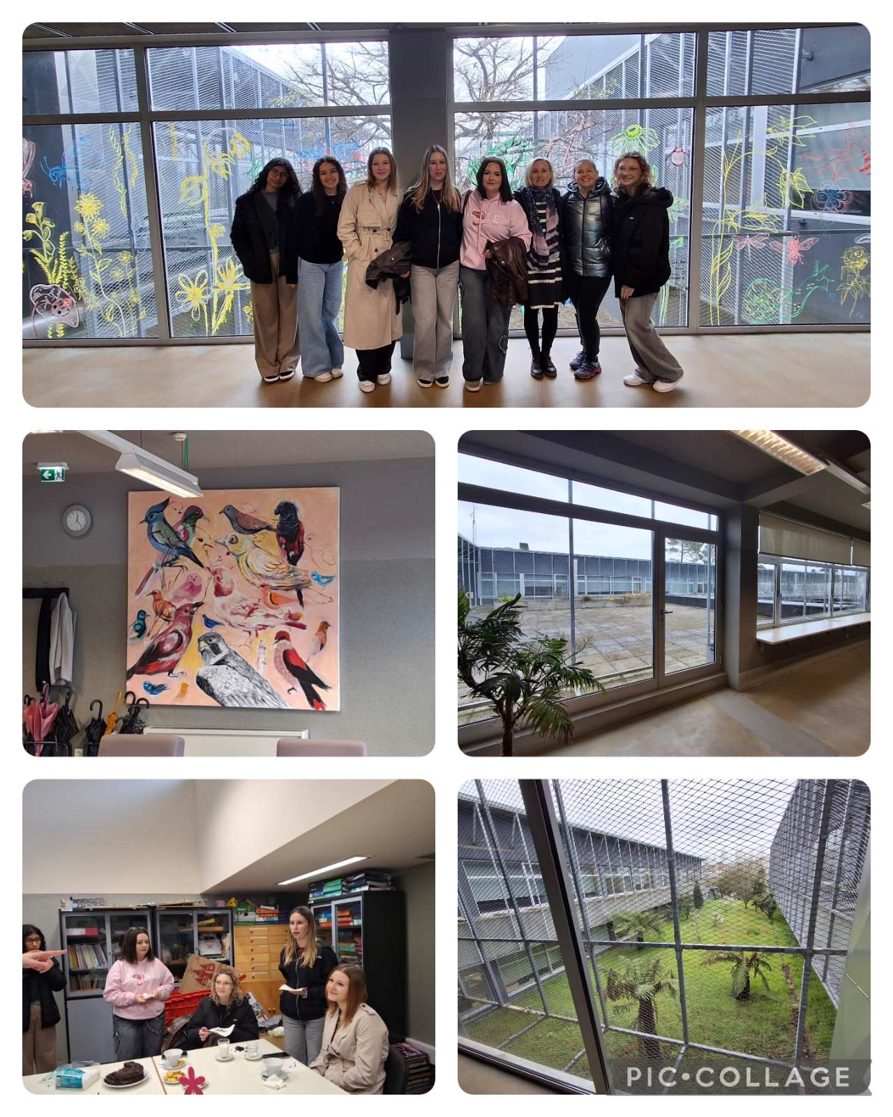 viber_slika_2025-03-18_19-48-31-218