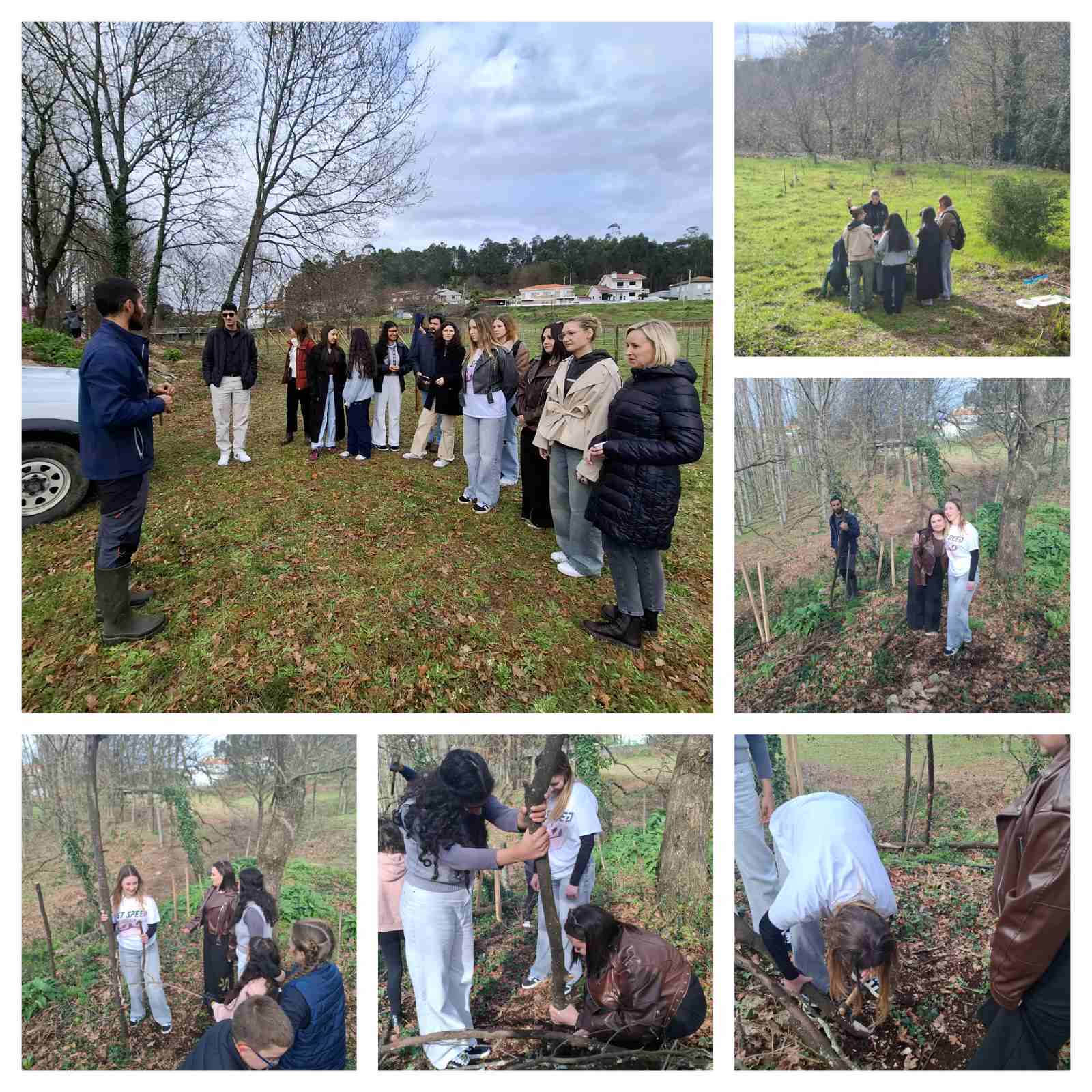 viber_slika_2025-03-18_19-48-33-734