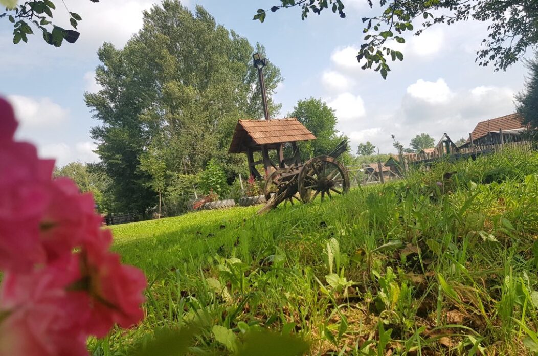 viber_slika_2025-08-06_09-26-40-086 viber_slika_2025-08-06_09-26-40-086