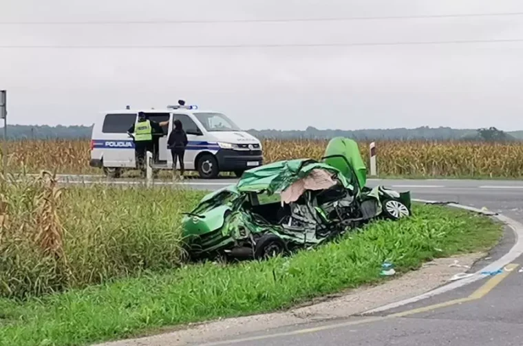 viber_slika_2025-09-25_15-01-39-544