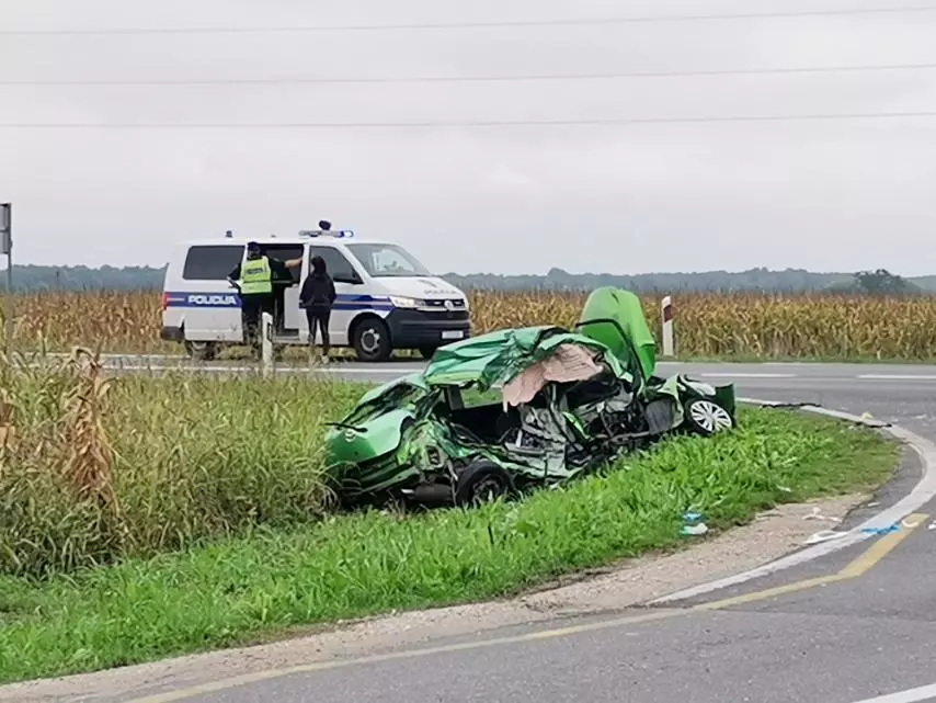 viber_slika_2025-09-25_15-01-39-544 viber_slika_2025-09-25_15-01-39-544