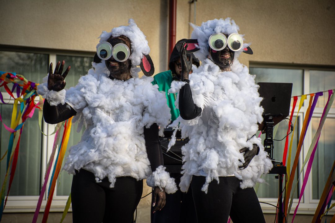 vidovečki fašnik (10)