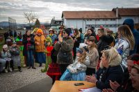 vidovečki fašnik (5)